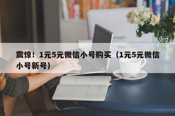 震惊！1元5元微信小号购买（1元5元微信小号新号）