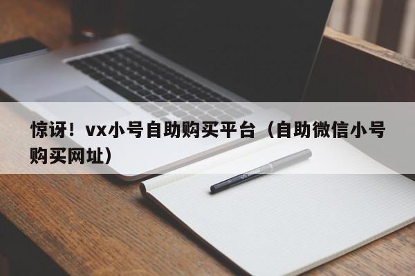 惊讶！vx小号自助购买平台（自助微信小号购买网址）