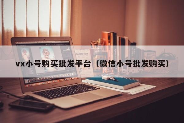 vx小号购买批发平台(微信小号批发购买)