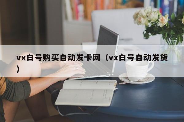 vx白号购买自动发卡网(vx白号自动发货)