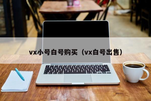 vx小号白号购买（vx白号出售）
