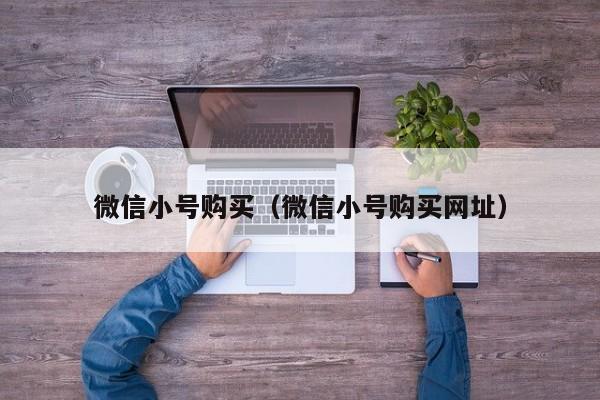 微信小号购买（微信小号购买网址）