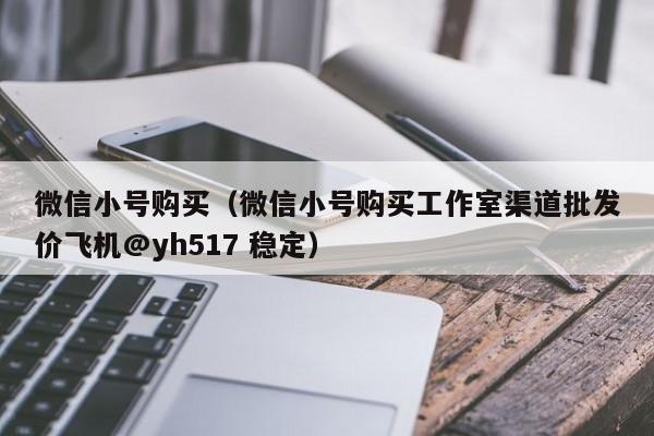 微信小号购买(微信小号购买工作室渠道批发价飞机@yh517 稳定)
