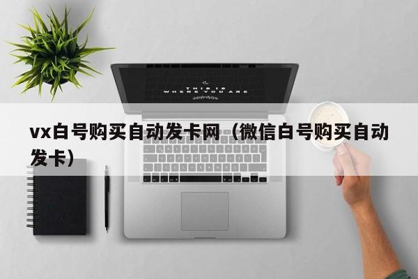 vx白号购买自动发卡网（微信白号购买自动发卡）