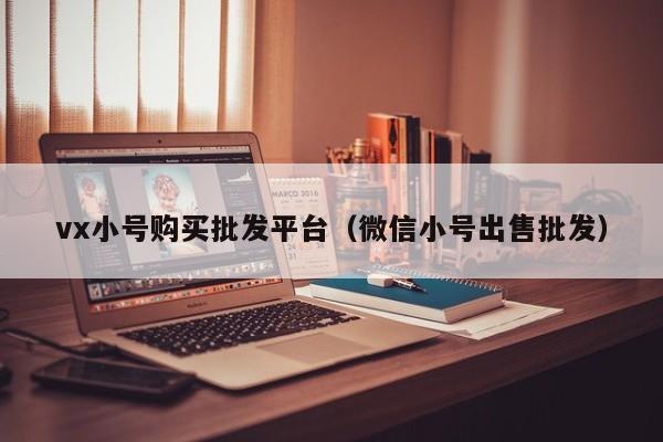 vx小号购买批发平台（微信小号出售批发）