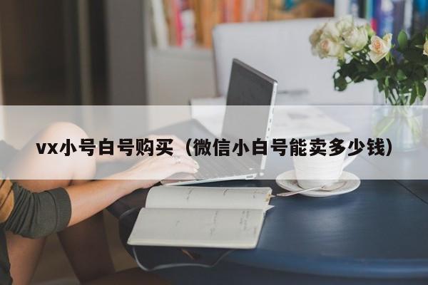 vx小号白号购买（微信小白号能卖多少钱）