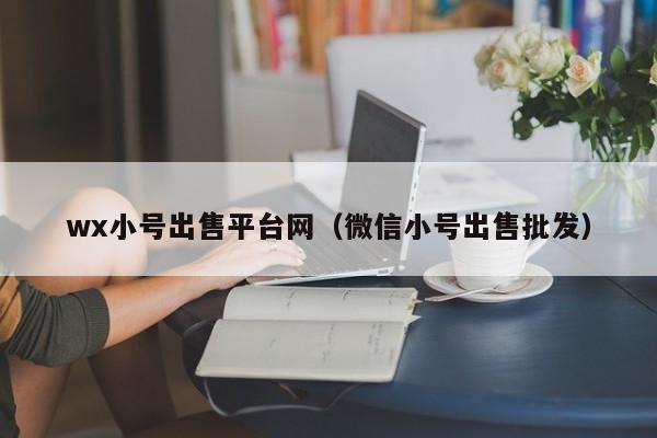 wx小号出售平台网(微信小号出售批发)