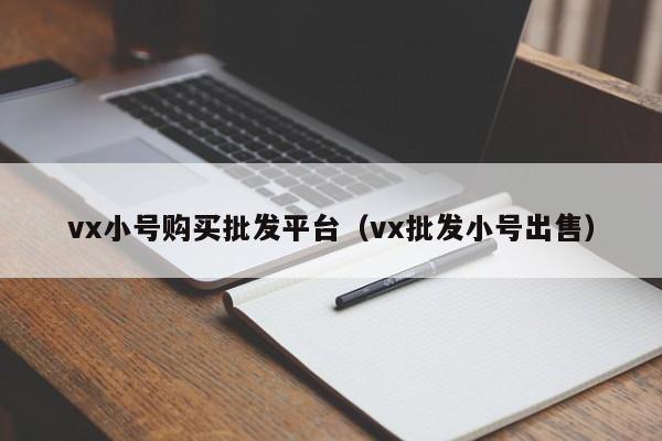 vx小号购买批发平台(vx批发小号出售)