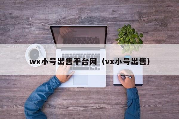 wx小号出售平台网（vx小号出售）