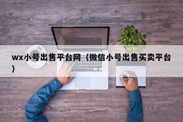 wx小号出售平台网（微信小号出售买卖平台）