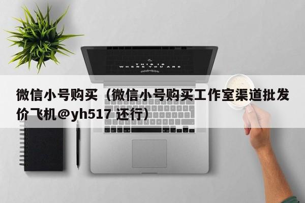 微信小号购买（微信小号购买工作室渠道批发价飞机@yh517 还行）