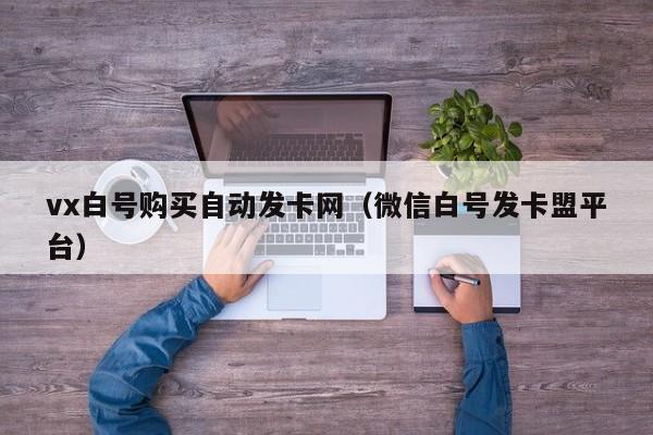 vx白号购买自动发卡网（微信白号发卡盟平台）