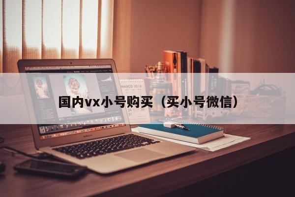 国内vx小号购买（买小号微信）