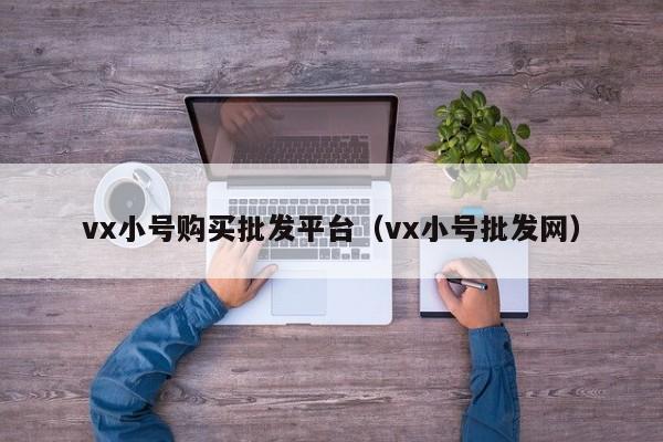 vx小号购买批发平台(vx小号批发网)