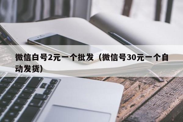 微信白号2元一个批发（微信号30元一个自动发货）