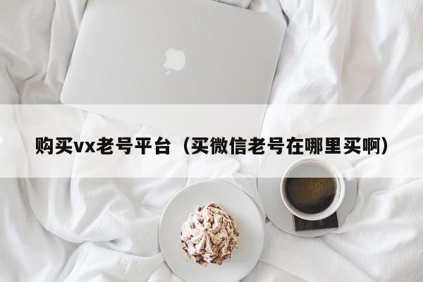 购买vx老号平台（买微信老号在哪里买啊）