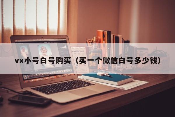 vx小号白号购买(买一个微信白号多少钱)