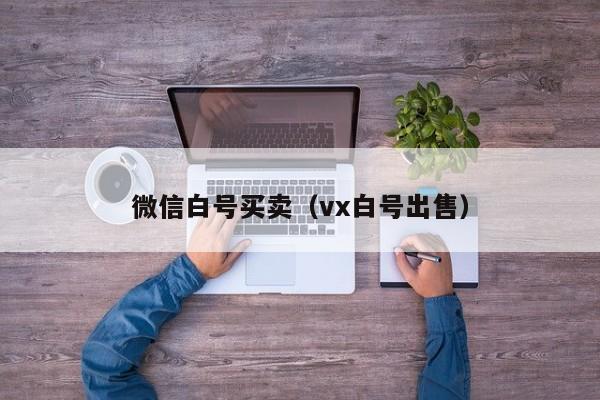 微信白号买卖(vx白号出售)