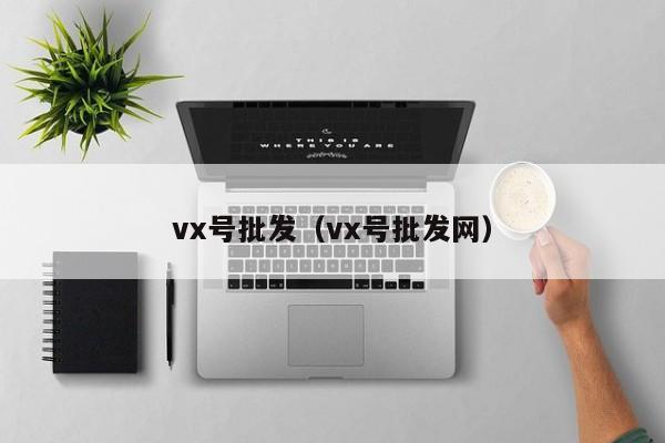 vx号批发（vx号批发网）
