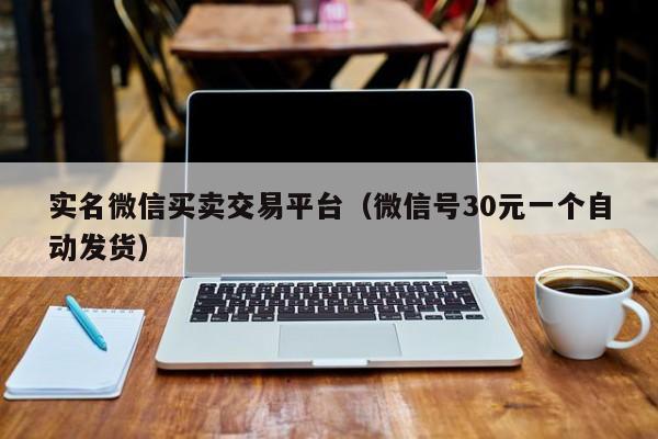 实名微信买卖交易平台（微信号30元一个自动发货）