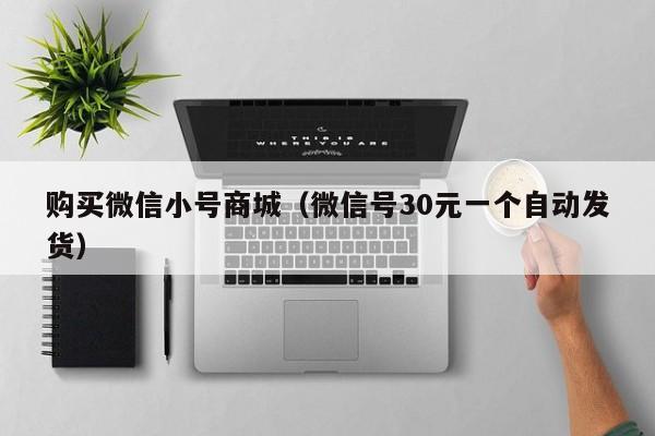 购买微信小号商城（微信号30元一个自动发货）
