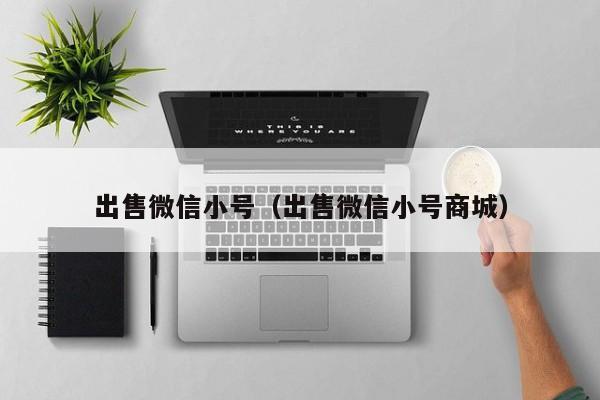 出售微信小号（出售微信小号商城）