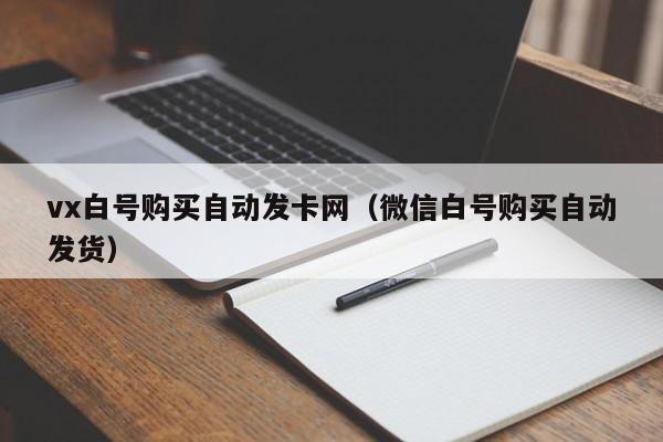 vx白号购买自动发卡网(微信白号购买自动发货)