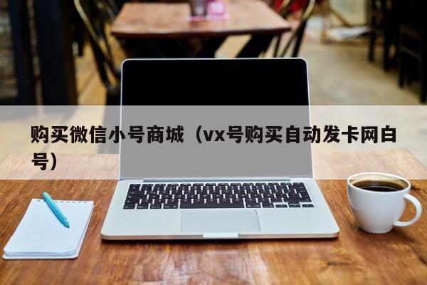 购买微信小号商城(vx号购买自动发卡网白号)