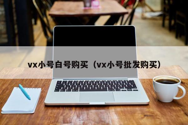 vx小号白号购买(vx小号批发购买)