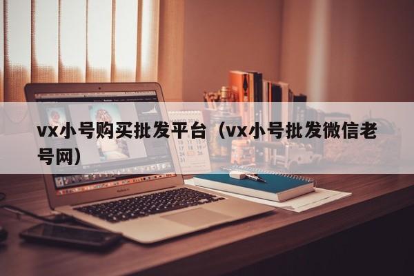 vx小号购买批发平台（vx小号批发微信老号网）