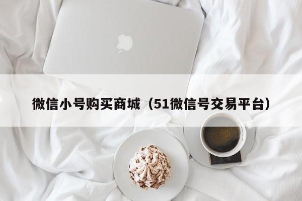 微信小号购买商城（51微信号交易平台）