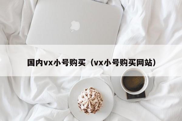 国内vx小号购买（vx小号购买网站）