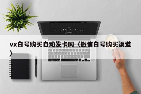 vx白号购买自动发卡网（微信白号购买渠道）