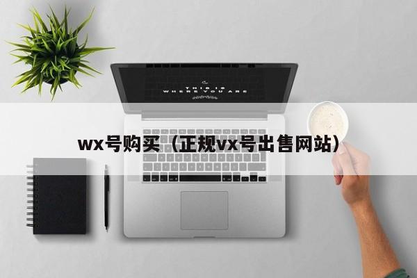wx号购买(正规vx号出售网站)